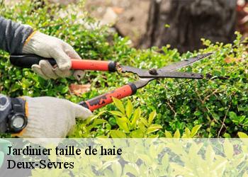 Jardinier taille de haie Deux-Sèvres