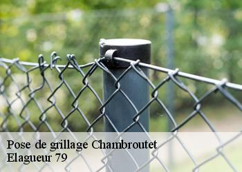 Pose de grillage  chambroutet-79300 Elagueur 79