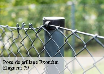 Pose de grillage  exoudun-79800 Elagueur 79