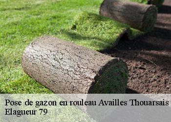 Pose de gazon en rouleau  availles-thouarsais-79600 Elagueur 79