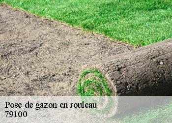 Pose de gazon en rouleau 79100