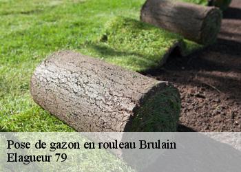 Pose de gazon en rouleau  brulain-79230 Elagueur 79