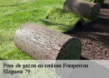 Pose de gazon en rouleau  fomperron-79340 Elagueur 79