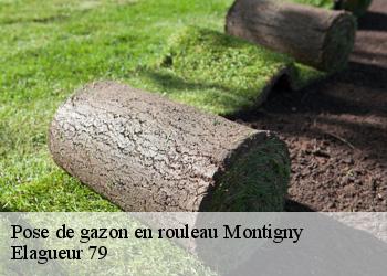 Pose de gazon en rouleau  montigny-79380 Elagueur 79