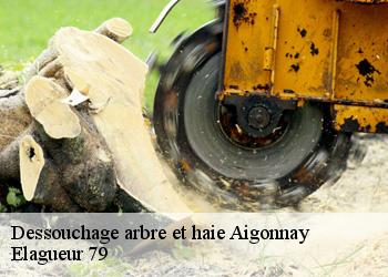 Dessouchage arbre et haie  aigonnay-79370 Elagueur 79