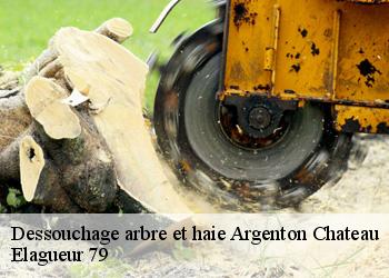Dessouchage arbre et haie  argenton-chateau-79150 Elagueur 79