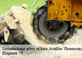 Dessouchage arbre et haie  availles-thouarsais-79600 Elagueur 79