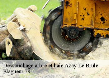 Dessouchage arbre et haie  azay-le-brule-79400 Elagueur 79