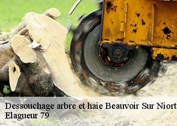 Dessouchage arbre et haie  beauvoir-sur-niort-79360 Elagueur 79