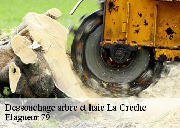 Dessouchage arbre et haie  la-creche-79260 Elagueur 79