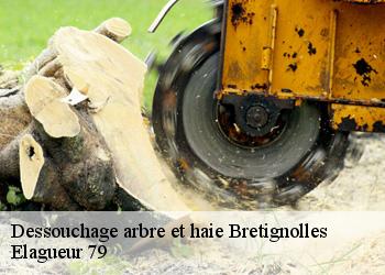 Dessouchage arbre et haie  bretignolles-79140 Elagueur 79