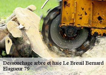 Dessouchage arbre et haie  le-breuil-bernard-79320 Elagueur 79