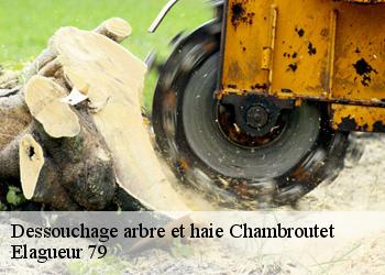 Dessouchage arbre et haie  chambroutet-79300 Elagueur 79