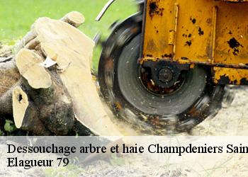 Dessouchage arbre et haie  champdeniers-saint-denis-79220 Elagueur 79