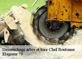 Dessouchage arbre et haie  chef-boutonne-79110 Elagueur 79