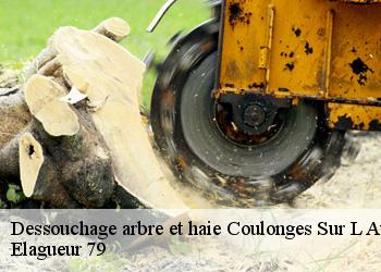 Dessouchage arbre et haie  coulonges-sur-l-autize-79160 Elagueur 79