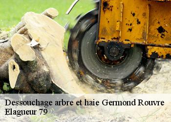 Dessouchage arbre et haie  germond-rouvre-79220 Elagueur 79