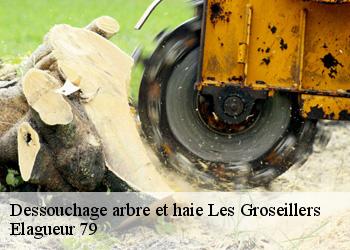 Dessouchage arbre et haie les-groseillers-79220 Elagueur 79