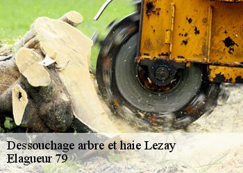 Dessouchage arbre et haie  lezay-79120 Elagueur 79