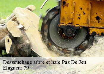 Dessouchage arbre et haie pas-de-jeu-79100 Elagueur 79