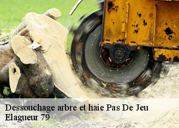 Dessouchage arbre et haie  pas-de-jeu-79100 Elagueur 79