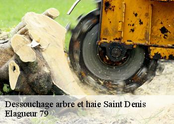 Dessouchage arbre et haie  saint-denis-79220 Elagueur 79
