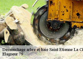 Dessouchage arbre et haie  saint-etienne-la-cigogne-79360 Elagueur 79
