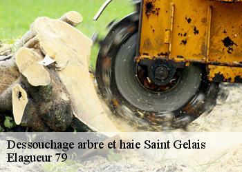 Dessouchage arbre et haie  saint-gelais-79410 Elagueur 79