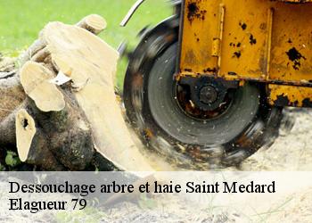 Dessouchage arbre et haie  saint-medard-79370 Elagueur 79
