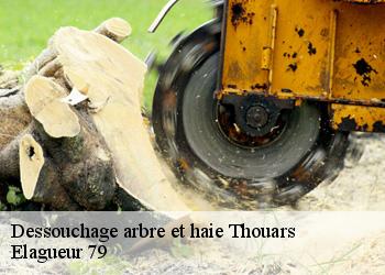 Dessouchage arbre et haie  thouars-79100 Elagueur 79