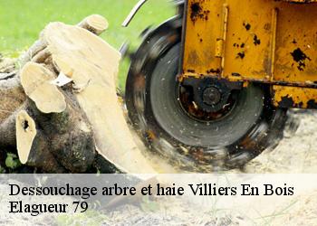 Dessouchage arbre et haie  villiers-en-bois-79360 Elagueur 79