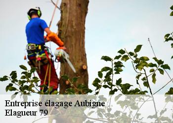 Entreprise élagage  aubigne-79110 Elagueur 79