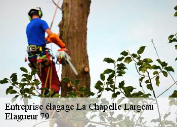 Entreprise élagage  la-chapelle-largeau-79700 Elagueur 79