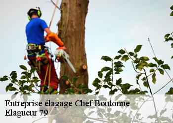 Entreprise élagage  chef-boutonne-79110 Elagueur 79