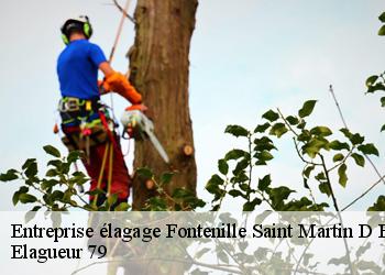 Entreprise élagage  fontenille-saint-martin-d-en-79110 Elagueur 79