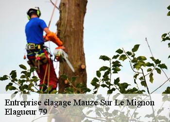 Entreprise élagage  mauze-sur-le-mignon-79210 Elagueur 79