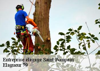 Entreprise élagage  saint-pompain-79160 Elagueur 79