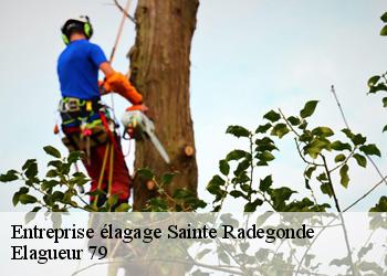 Entreprise élagage sainte-radegonde-79100 Elagueur 79