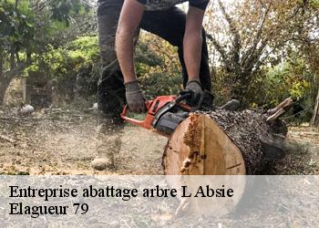 Entreprise abattage arbre  l-absie-79240 Elagueur 79
