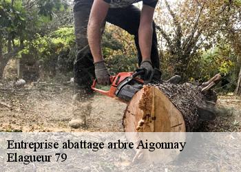 Entreprise abattage arbre  aigonnay-79370 Elagueur 79