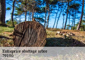 Entreprise abattage arbre  79190