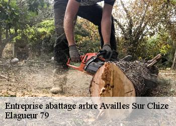 Entreprise abattage arbre  availles-sur-chize-79170 Elagueur 79