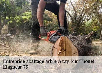 Entreprise abattage arbre  azay-sur-thouet-79130 Elagueur 79