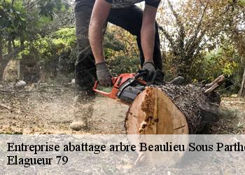 Entreprise abattage arbre  beaulieu-sous-parthenay-79420 Elagueur 79