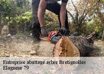 Entreprise abattage arbre  bretignolles-79140 Elagueur 79