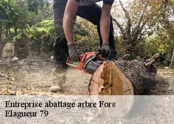 Entreprise abattage arbre  fors-79230 Elagueur 79