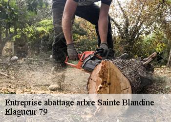 Entreprise abattage arbre  sainte-blandine-79370 Elagueur 79