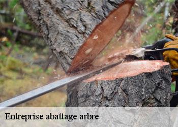 Entreprise abattage arbre