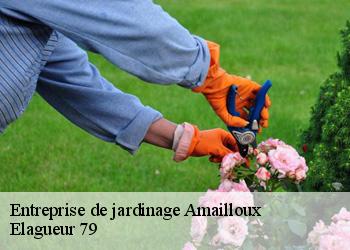 Entreprise de jardinage  amailloux-79350 Elagueur 79