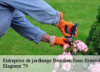 Entreprise de jardinage  beaulieu-sous-bressuire-79300 Elagueur 79